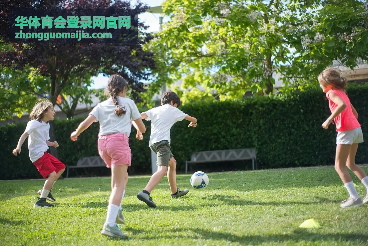 华体育会登录网官网设备验证与登录确认示意