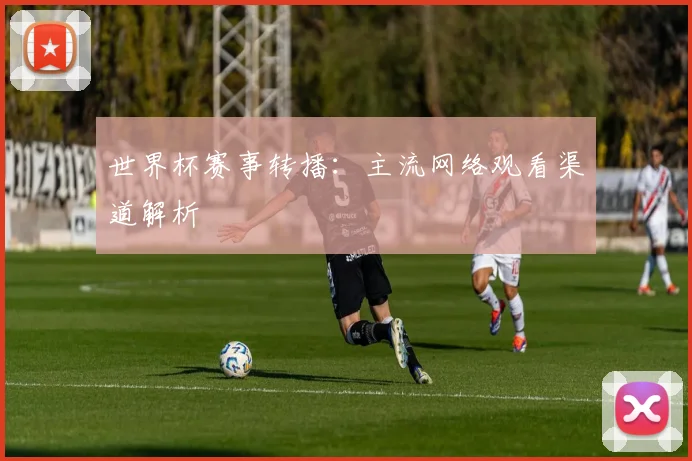 世界杯赛事转播：主流网络观看渠道解析