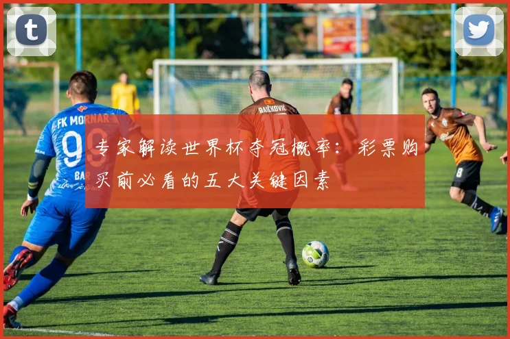 专家解读世界杯夺冠概率：彩票购买前必看的五大关键因素