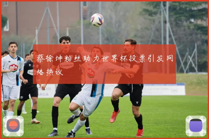 蔡徐坤粉丝助力世界杯投票引发网络热议